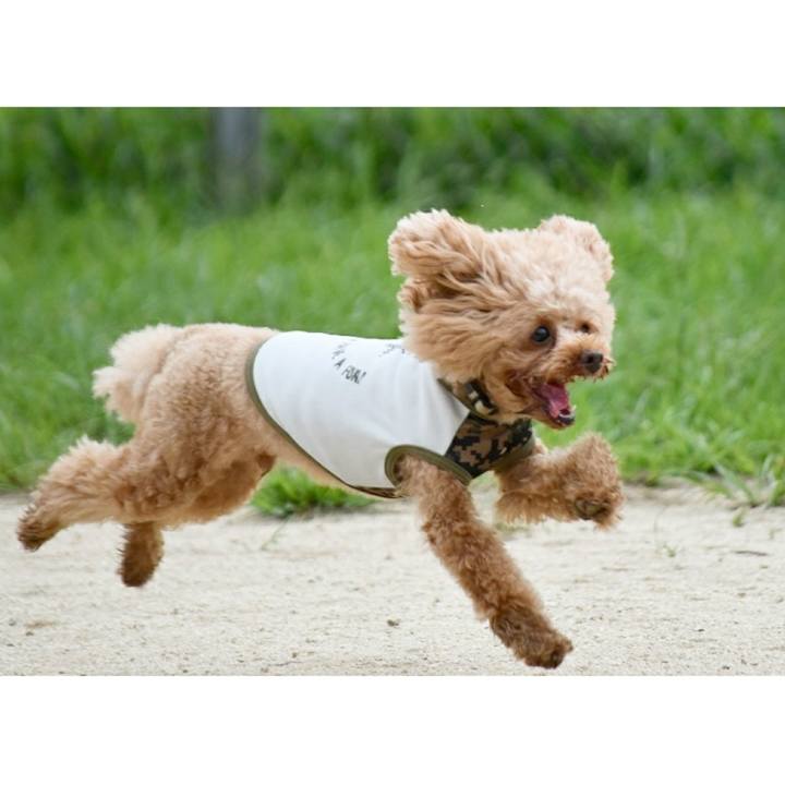 019b5bf1 7bf5 4ea4 86c3 a6c646c4f566