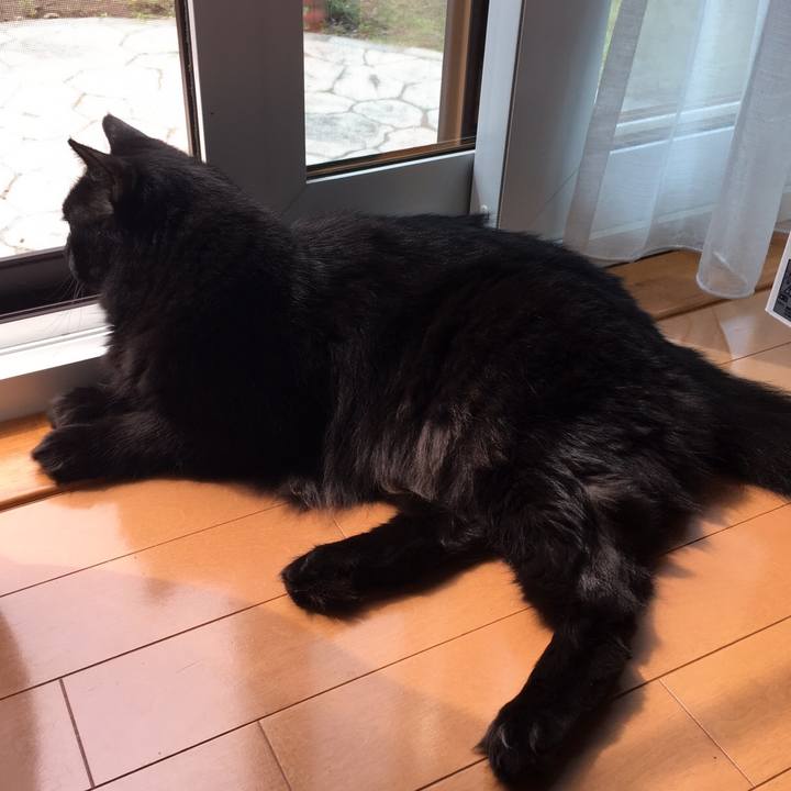 019b7281 10eb 492e b66e 5235c616ee37