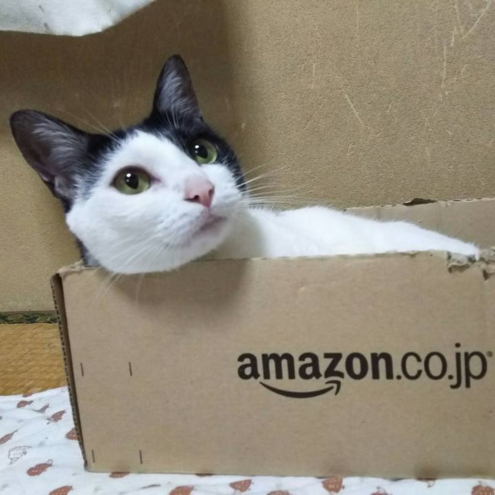 019c3e5e df0b 44b8 a477 af29f2579107