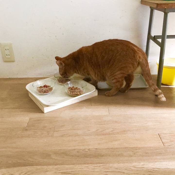 019c41cf a14a 4c20 9ade 931f03bf588a