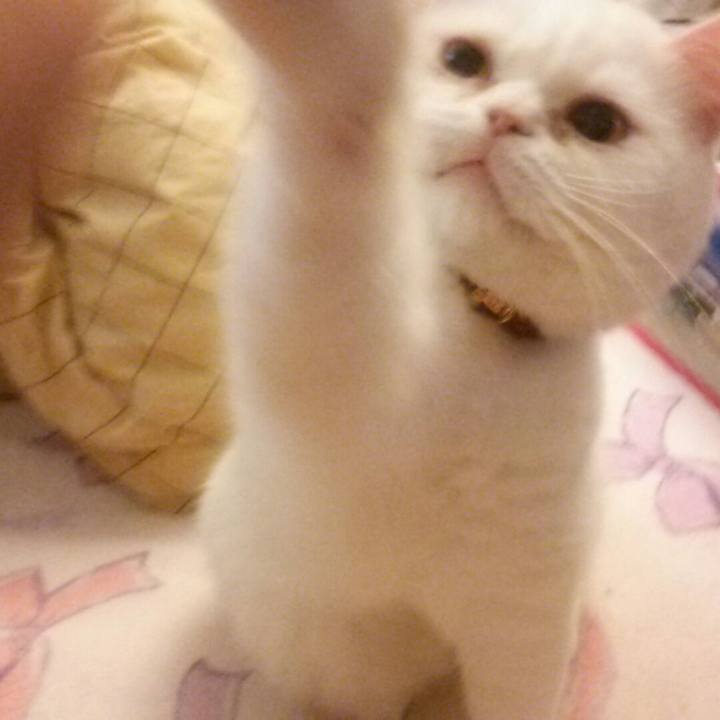 019c8298 d56b 4d6c ad14 e34766062ca3