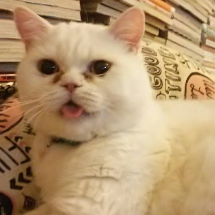 019d12a2 b6d8 4860 95f0 375418187f3a