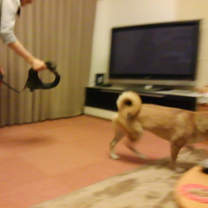 019d3284 a0ea 4708 b7ac 5aeba1ebddd2