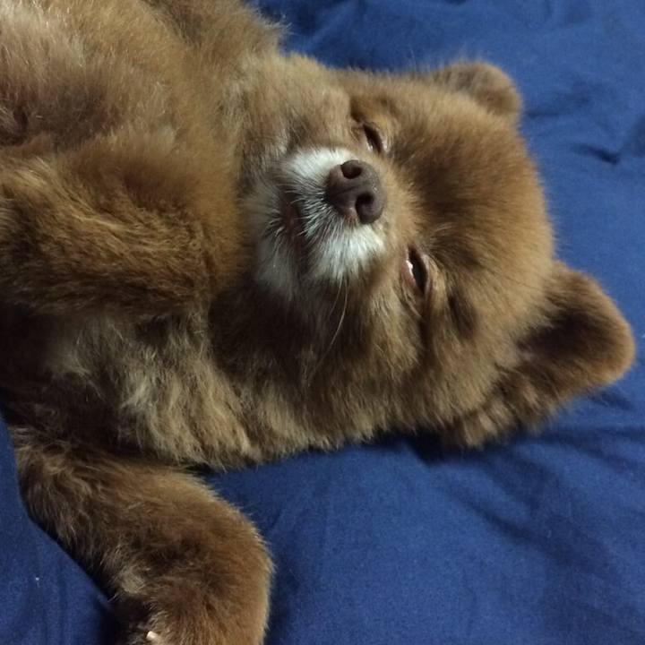 019ddf15 7fc8 4cea aaba b6dd7fed0e3b