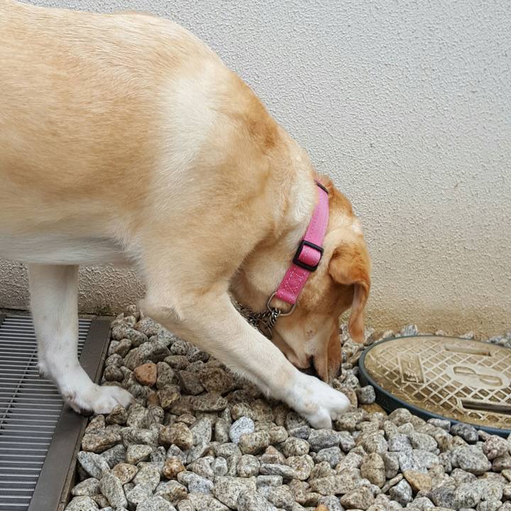 019e6a9b abf7 42bc b05b 0b16ff835d76