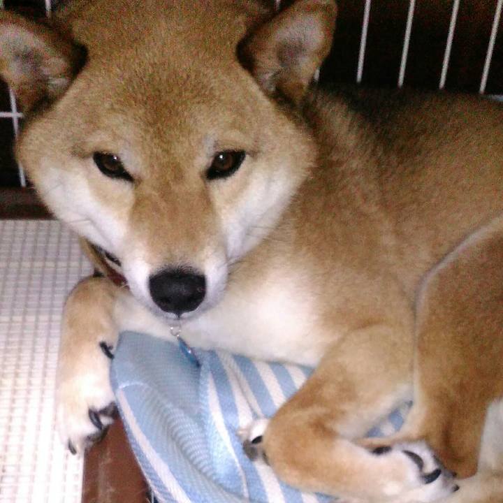 019ee49a e9ff 4bcd 8a66 c4256cac21bb