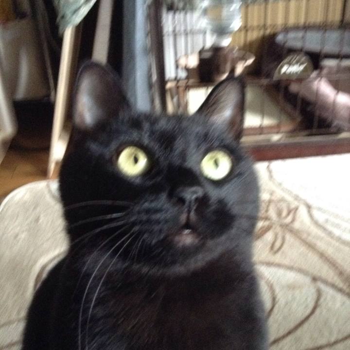 019fa26a 3435 4b82 81ed 99a0d84fe756