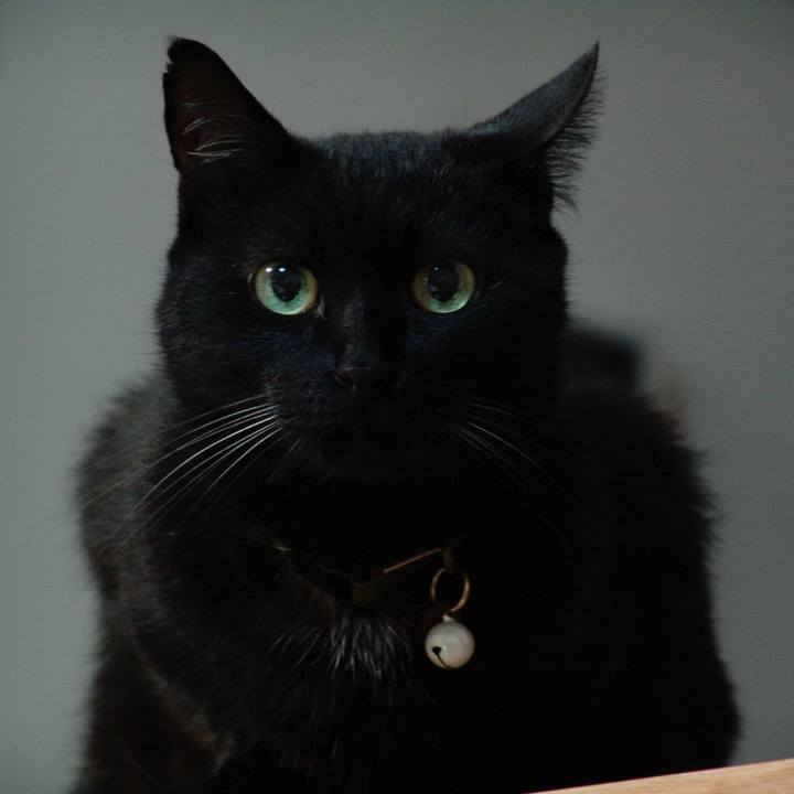 019fa2fb 0566 485b 86ab 86c51322f5ab