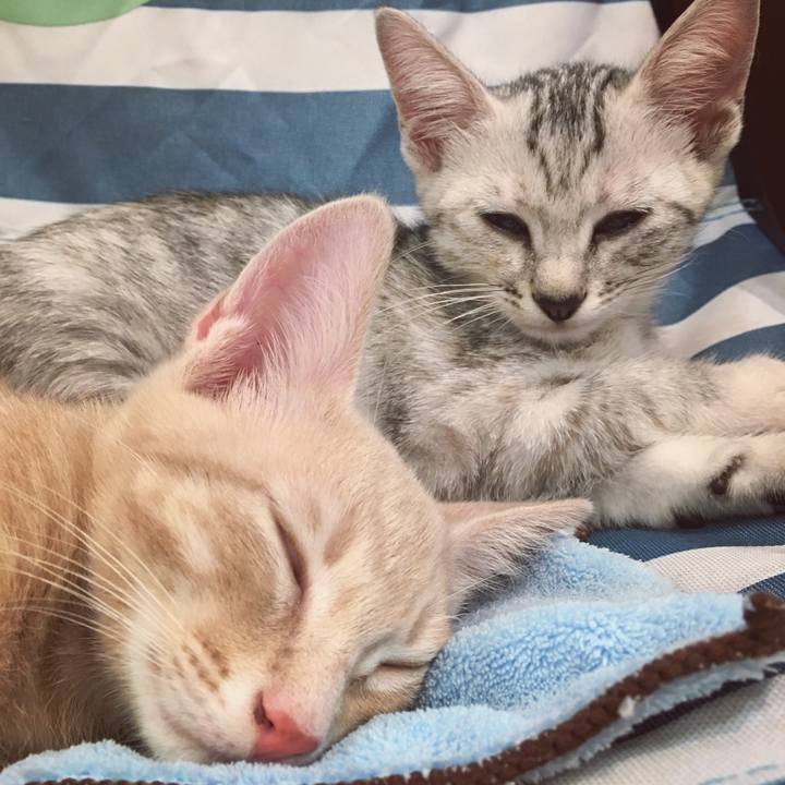 019fb38b 5b0d 4137 b96f 7662d4716e31