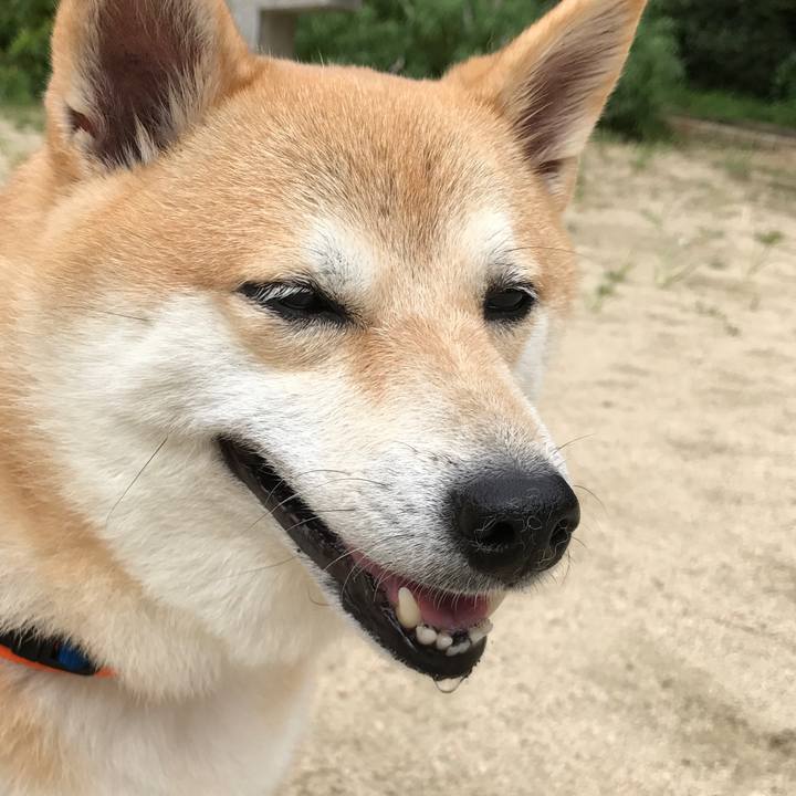 01a00c48 0013 480d bd56 bf3751cd995c