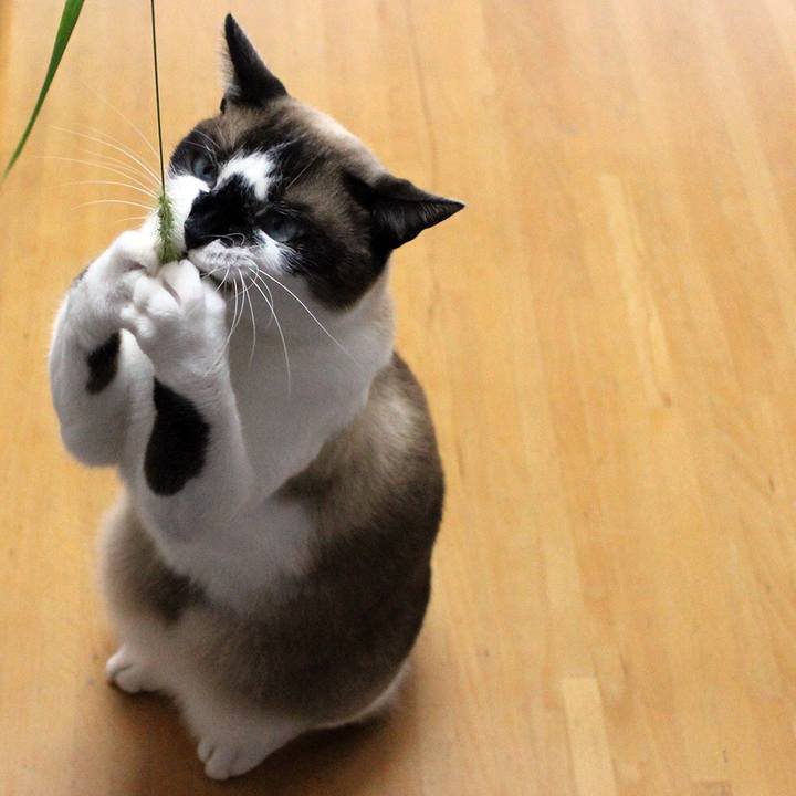 01a028b8 9b86 4351 82eb 5b91615c0c8f