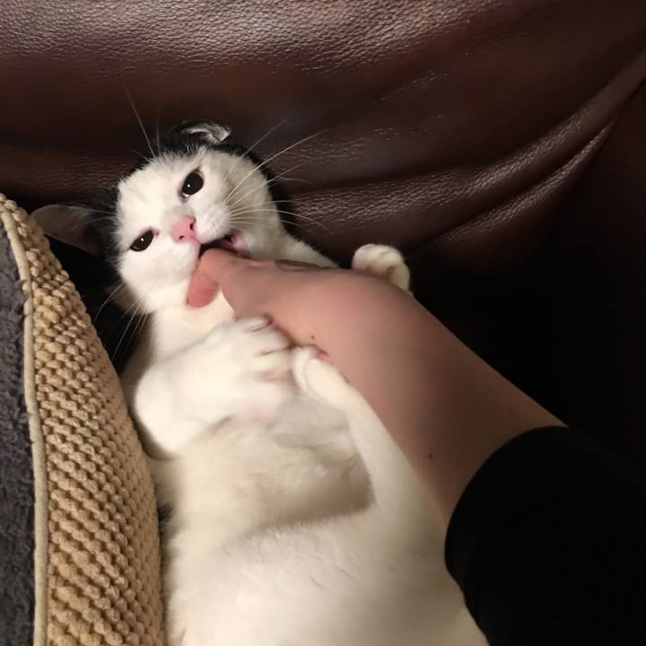 01a032ab e7ec 4f8b 994a e57729ffdb8b