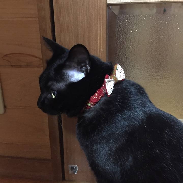 01a0529e 3764 4fb3 95a2 cec4296a10f4