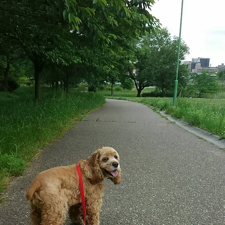 01a0a41d bd47 4783 8b57 8a69d5ba1144