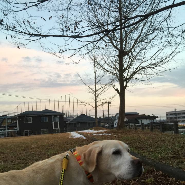 01a169d7 ccbc 47e9 9c9e d5691c3ee0c9