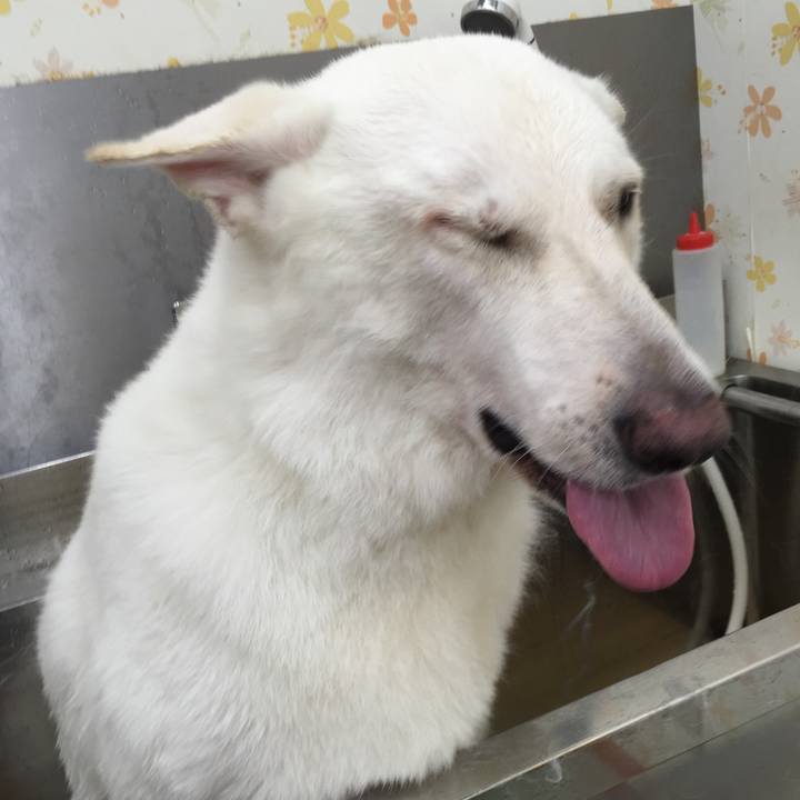 01a28d25 0327 4f49 9374 0fa0f263a01c