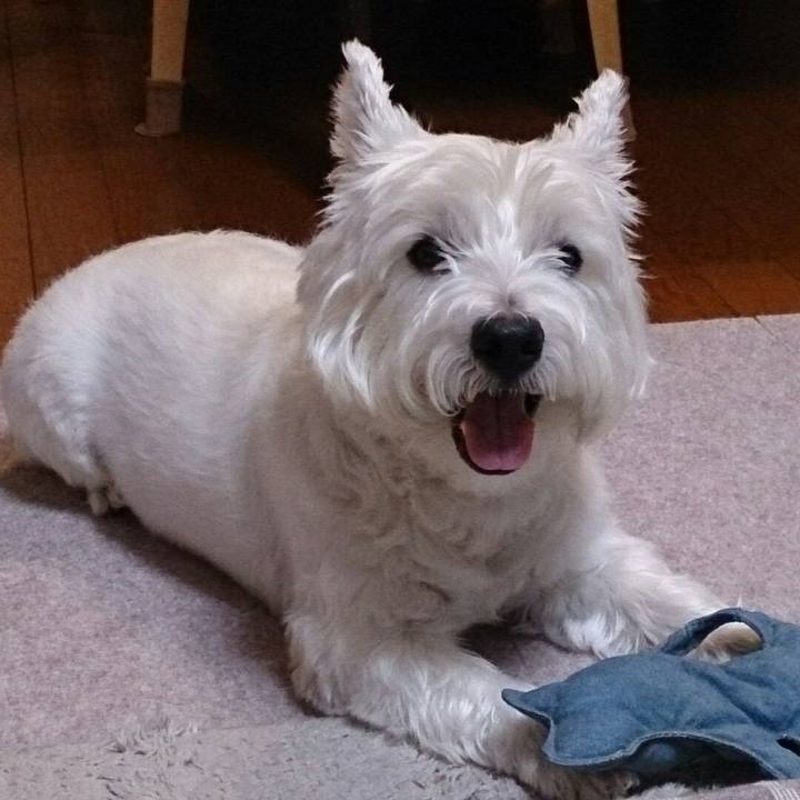 01a29948 4ead 48cc a49a 44eff9eeaae7