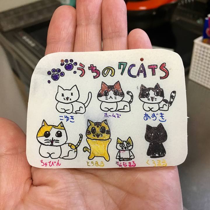 01a2aba8 f21c 4aaa 8ee8 70b0132a0259