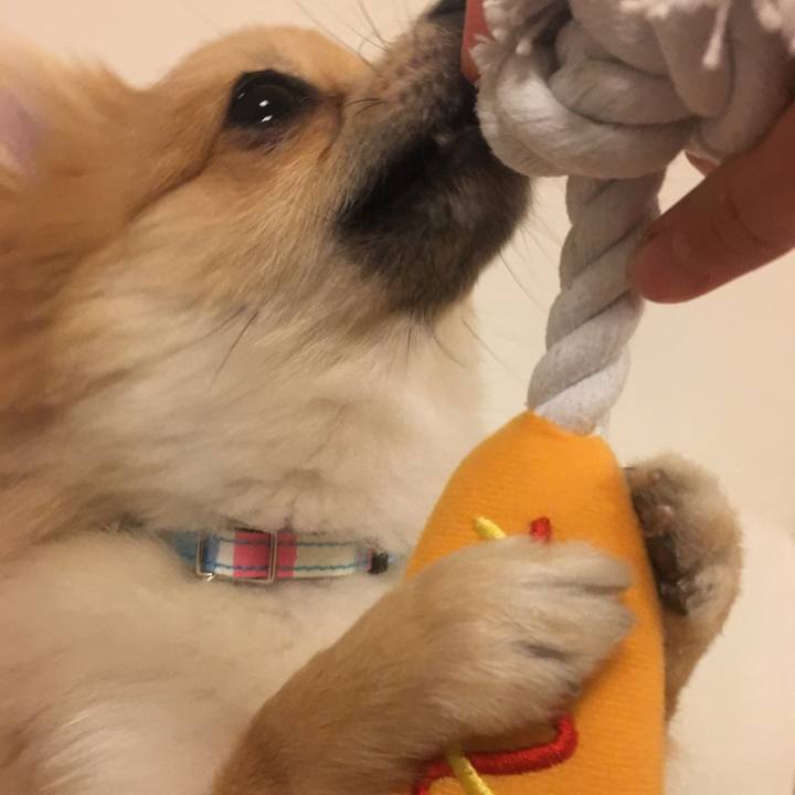 01a4545d 0a19 4e86 9e04 f9966e253cf7