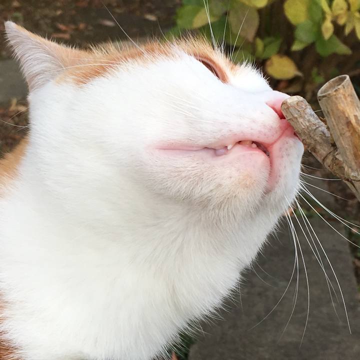 01a47f62 d06e 4d93 b128 c8a790178bd8