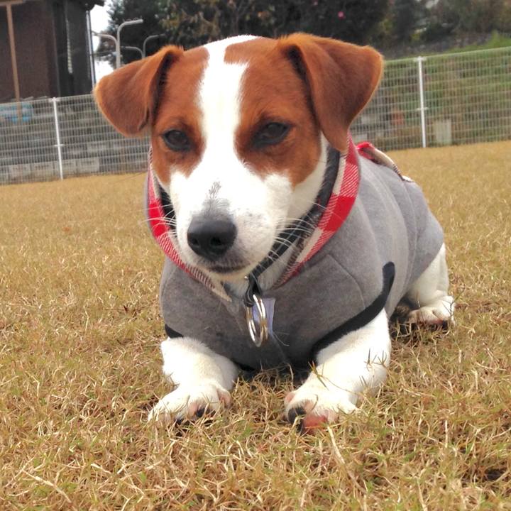 01a49050 2491 4826 ac3b 482dfc1ddd91