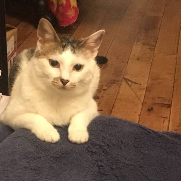 01a51244 f6db 46ae aae9 eb94cbf0dc5a