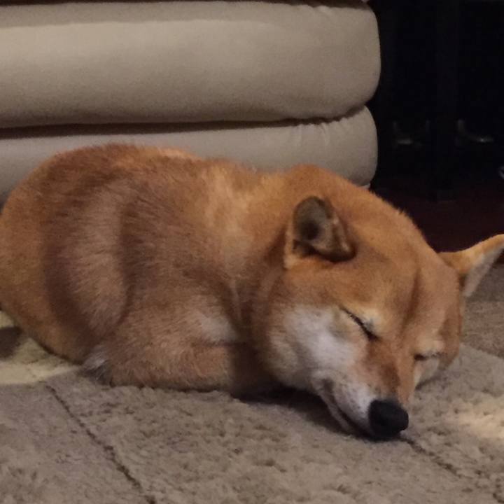 01a5eafc a19f 4a1f 8abc e4149793ab1f