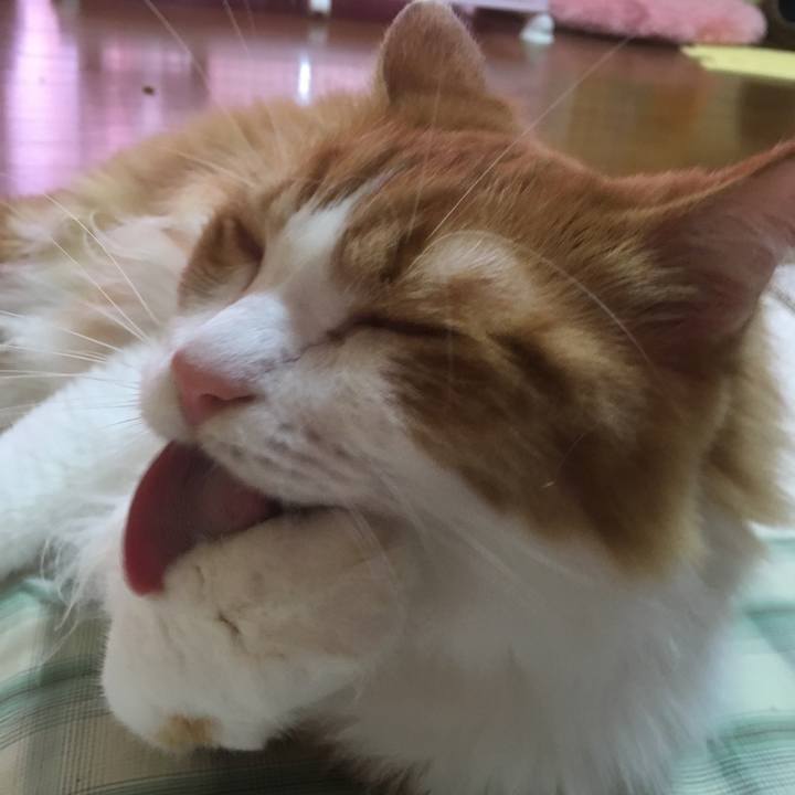 01a74008 e7b8 4401 882b 26b796c558ae