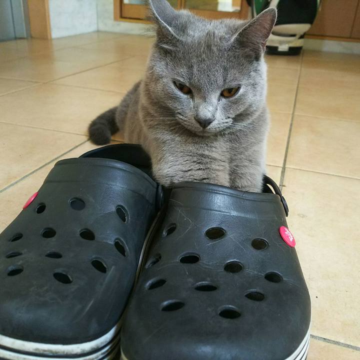 01a769e9 9980 460f ac64 cc6e6d326bb8