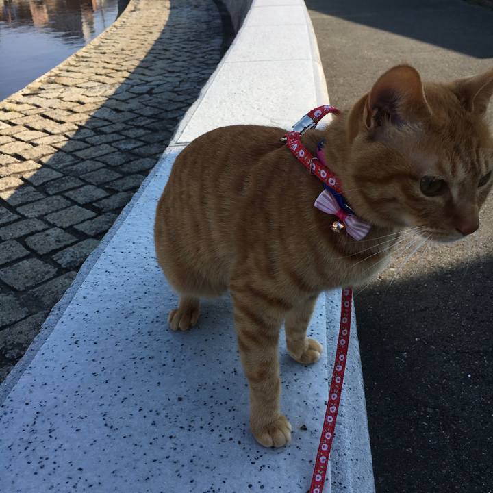 01a77d1d f58f 4348 9fa8 f09529743c72