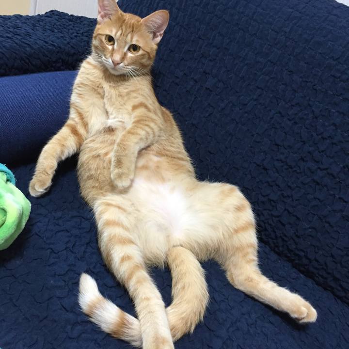 01a78e79 2e6e 4bec 8596 cbf37ba5f2a0