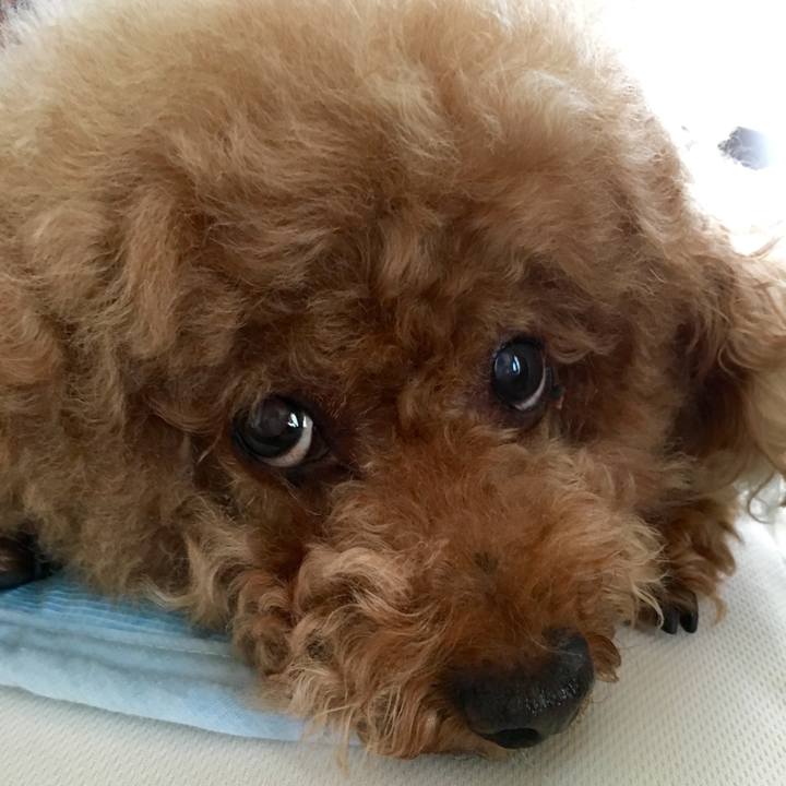 01a79af3 5c46 470e 8bce 09e10c0561da