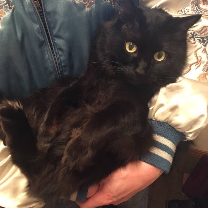 01a7a488 0022 4f66 b369 10d81f4e70de