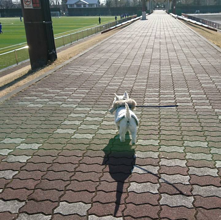 01a84c6c 80bd 44e2 8974 83299467faaf