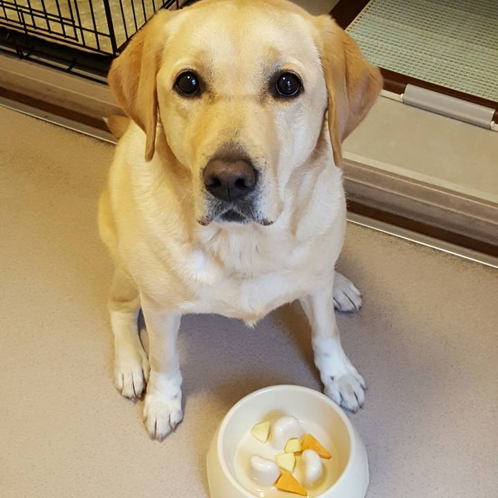 01a985ce 5150 45ec 850a abe68f11f8a6