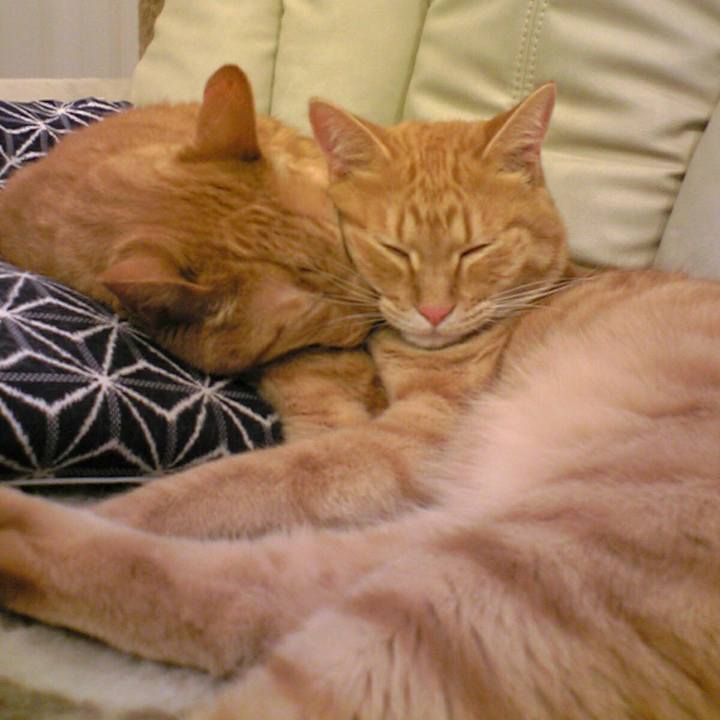 01a98c06 8d4f 44eb 8374 a96704c61213