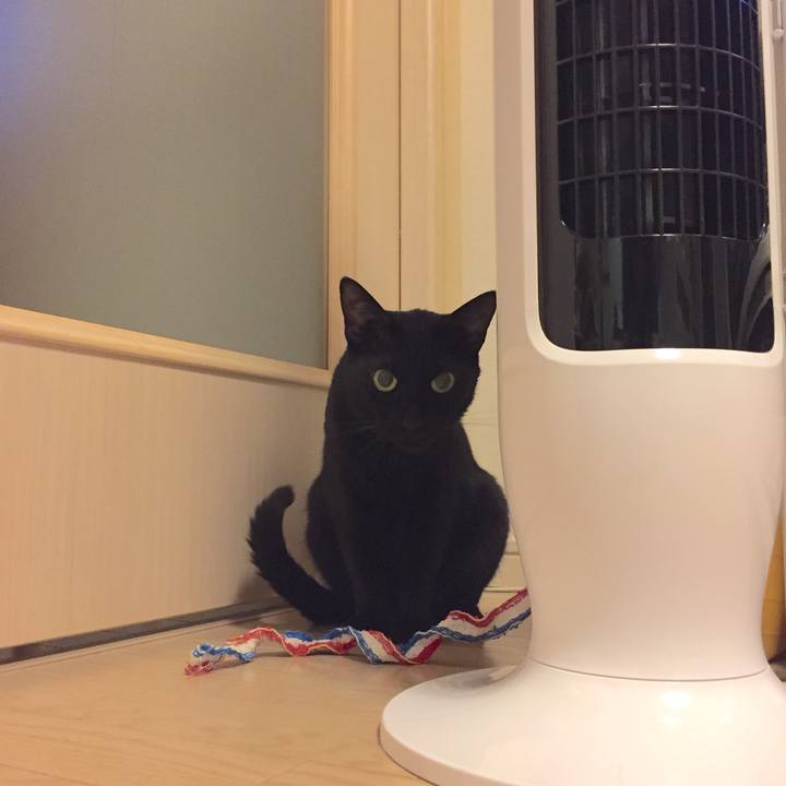 01a9970c c1d2 47f5 aac1 d2fac1f5a224