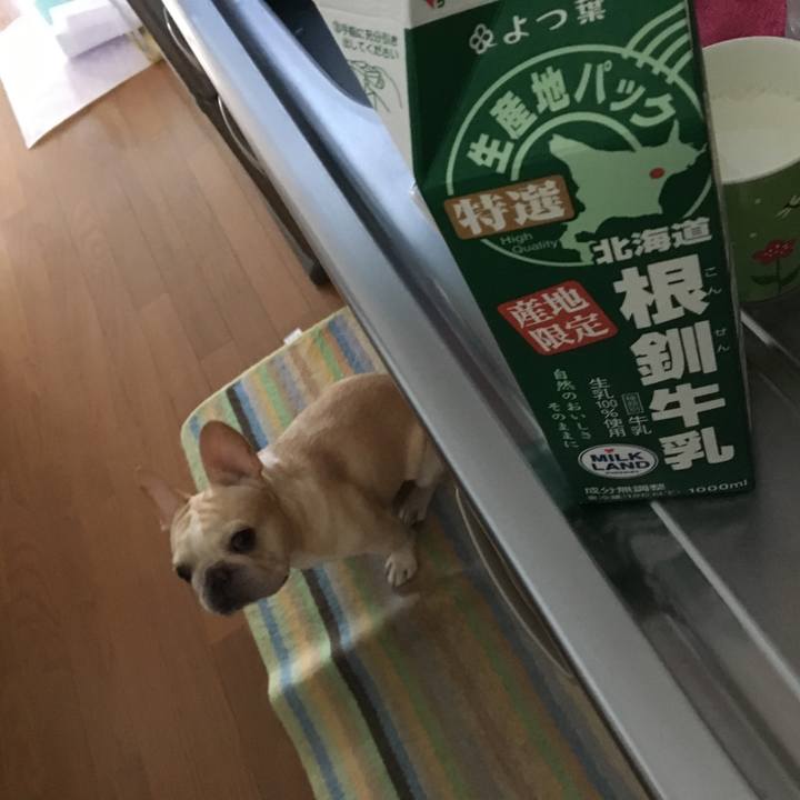 01a9b401 f3b9 42d6 8ac0 ef4e3466ee33