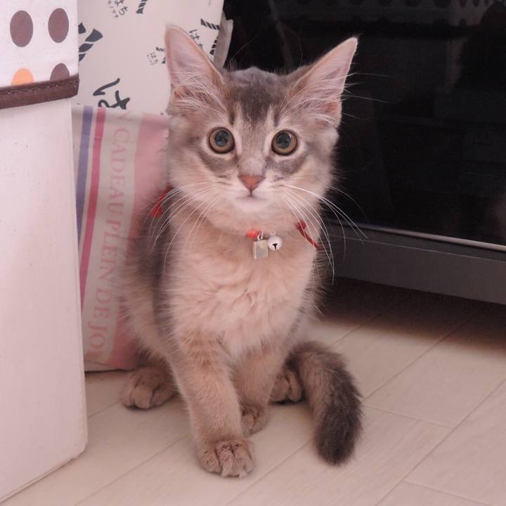 01a9cce4 d7c9 47b5 954d dfa552a0692a