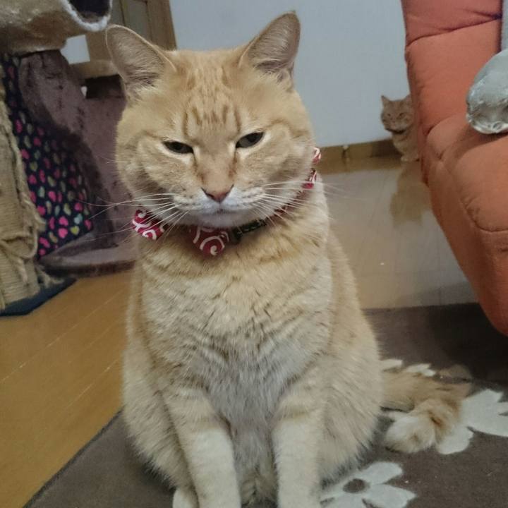 01a9f80f cdab 43b0 8ee1 1308714ca0c6