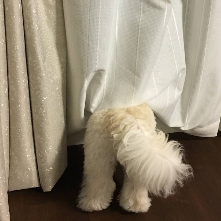 01aa0693 e43d 4466 9700 9b3087f92059