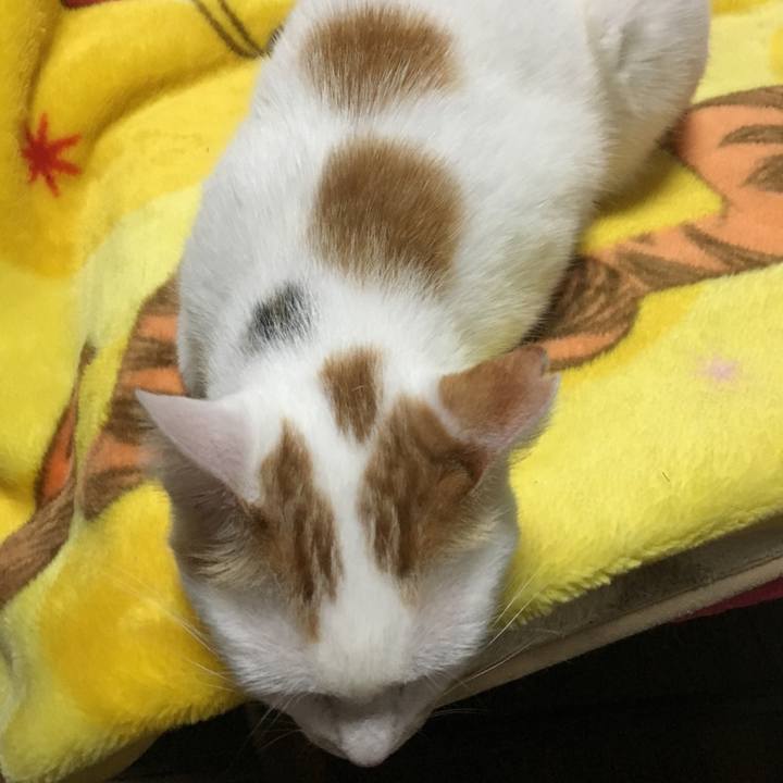 01aa4c2f 1bf5 4ae5 8443 8926a8d27f08