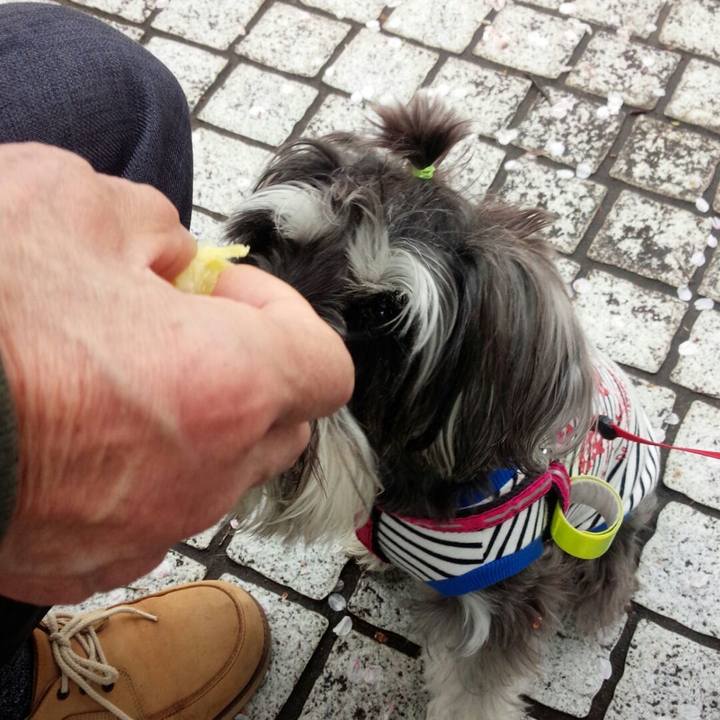 01aab7ea ec97 45c2 abb8 49669576fb2a