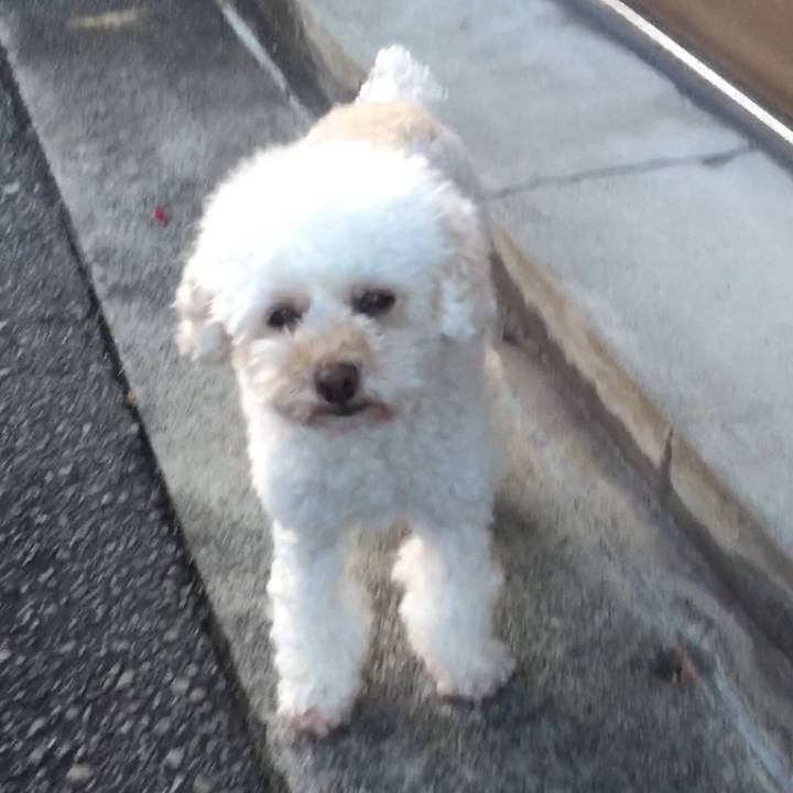 01aab96c e1a2 4f84 9748 ffbd0bb3b361