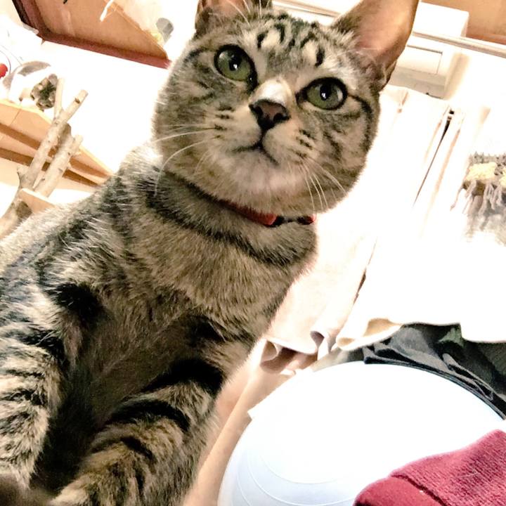 01aaba9f 916d 4b33 8afc c52971b338aa