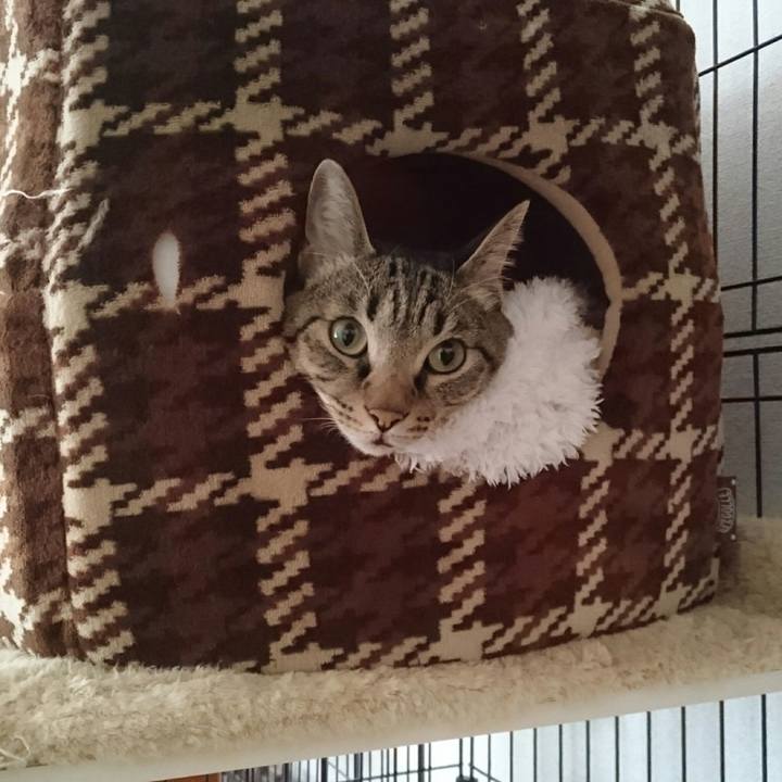 01aaed88 c411 4dee 997c 35aebf9e6829