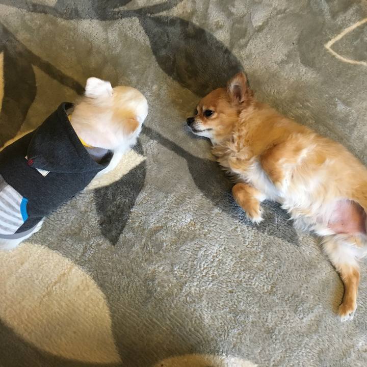 01ab1e34 37f4 407d 9462 49a6fec80ced