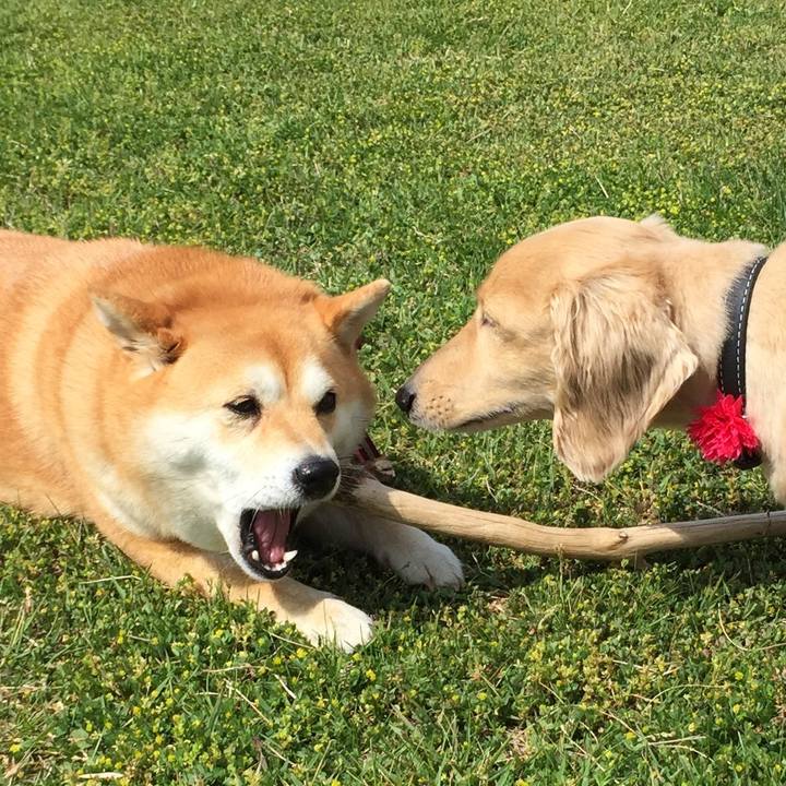 01ab738b 4938 4f06 85a8 a83516a82566