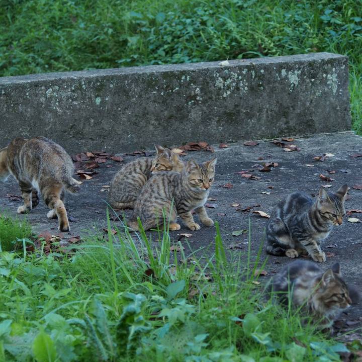 01abbd82 7d25 47f9 b444 50d3b0bdc4f5