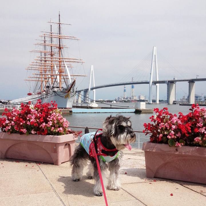 01ac7648 04f0 4405 8dda c8b0490b6596